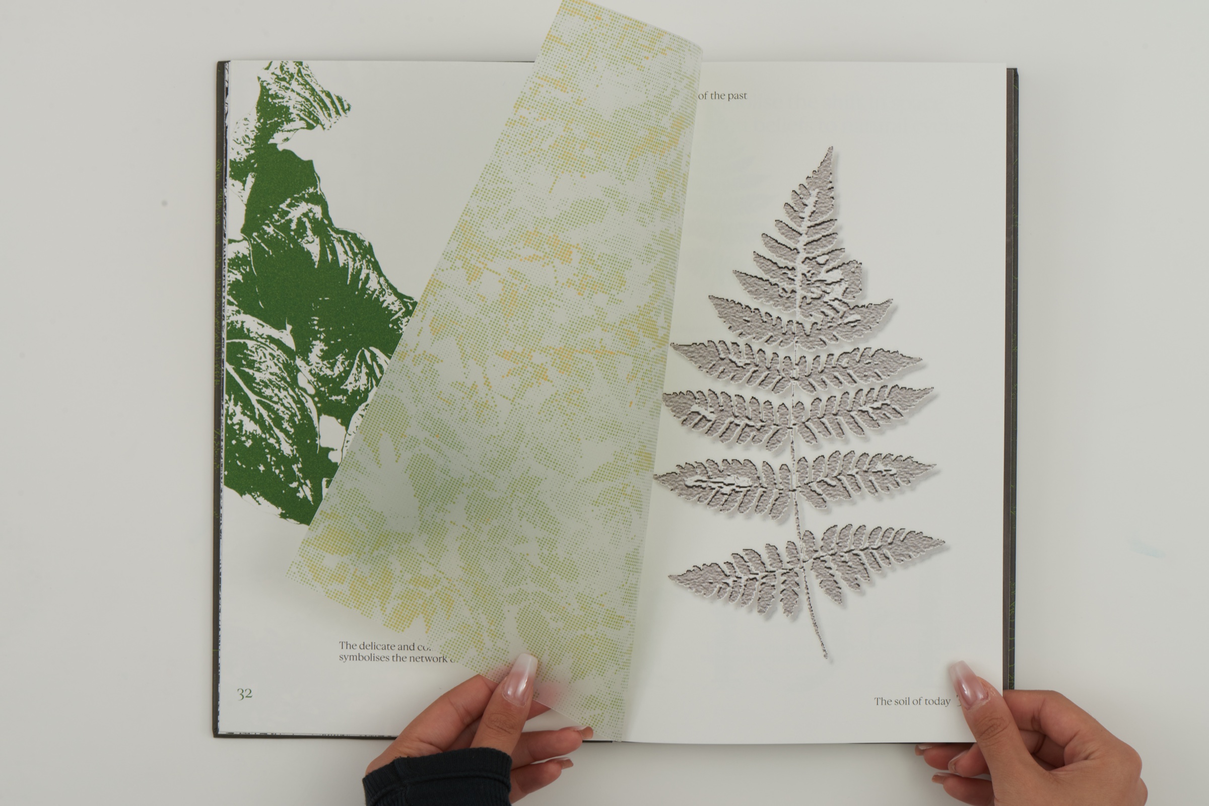 Layered translucent leaf spread from In the Wake