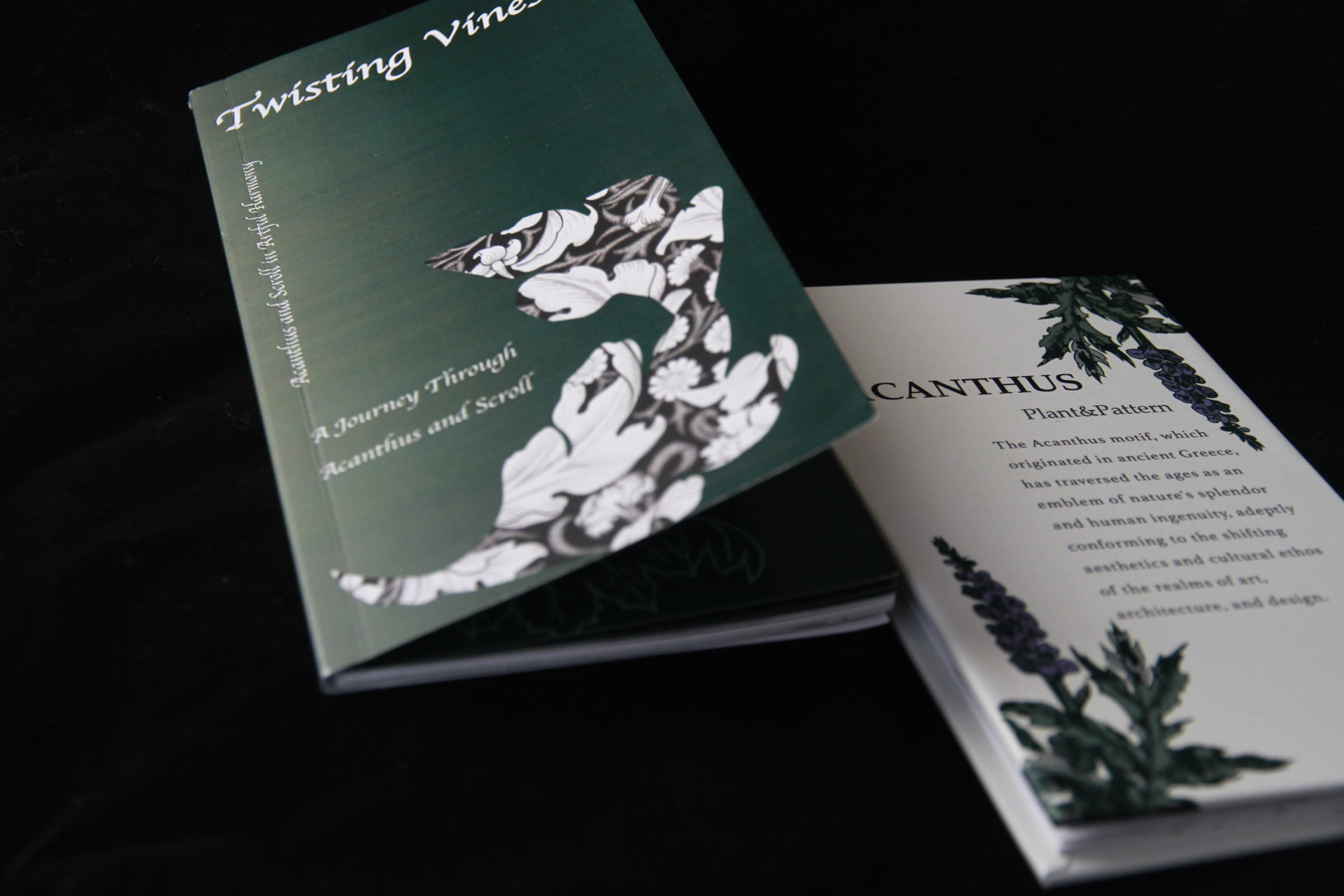 Detailed view of the Twisting Vines publication